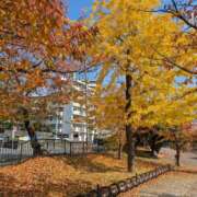 ヒメ日記 2025/12/02 12:56 投稿 みさき 人妻の品格(福岡)