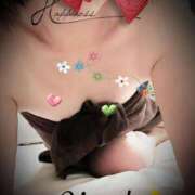 ヒメ日記 2025/04/08 07:48 投稿 沙希 人妻の品格(福岡)