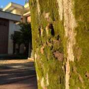 ヒメ日記 2025/07/15 11:30 投稿 沙希 人妻の品格(福岡)