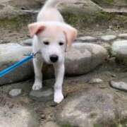 ヒメ日記 2025/07/31 15:08 投稿 沙希 人妻の品格(福岡)