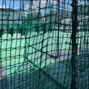 ヒメ日記 2025/08/15 17:30 投稿 沙希 人妻の品格(福岡)