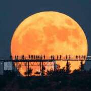 ヒメ日記 2025/11/05 10:22 投稿 沙希 人妻の品格(福岡)