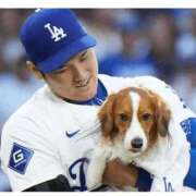 ヒメ日記 2025/11/14 11:41 投稿 沙希 人妻の品格(福岡)