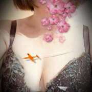 ヒメ日記 2025/12/24 18:00 投稿 沙希 人妻の品格(福岡)