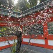 ヒメ日記 2026/03/05 17:19 投稿 沙希 人妻の品格(福岡)