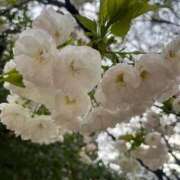 ヒメ日記 2026/04/04 15:35 投稿 沙希 人妻の品格(福岡)