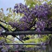 ヒメ日記 2026/04/14 09:03 投稿 沙希 人妻の品格(福岡)