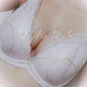 ヒメ日記 2025/07/23 19:13 投稿 さとみ 人妻の品格(福岡)