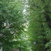 ヒメ日記 2025/11/03 17:11 投稿 なつき エンジェルシリカ