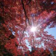 なつき おはようございます🍁 エンジェルシリカ