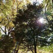 なつき おはようございますm(__)m エンジェルシリカ