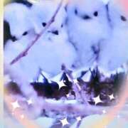 ヒメ日記 2025/03/01 14:31 投稿 かりな奥様 人妻です