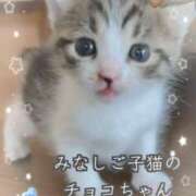 ヒメ日記 2025/03/20 15:27 投稿 かりな奥様 人妻です