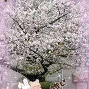 ヒメ日記 2025/04/13 17:24 投稿 かりな奥様 人妻です