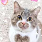 ヒメ日記 2025/04/20 13:23 投稿 かりな奥様 人妻です