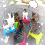 ヒメ日記 2025/04/24 12:55 投稿 かりな奥様 人妻です