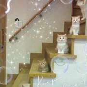 ヒメ日記 2025/04/29 10:26 投稿 かりな奥様 人妻です