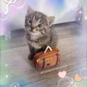 ヒメ日記 2025/05/25 13:03 投稿 かりな奥様 人妻です