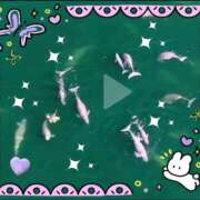 ヒメ日記 2025/06/05 13:07 投稿 かりな奥様 人妻です