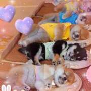 ヒメ日記 2025/06/22 14:17 投稿 かりな奥様 人妻です