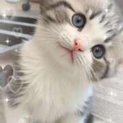 ヒメ日記 2025/07/27 15:00 投稿 かりな奥様 人妻です