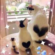 ヒメ日記 2025/10/25 13:29 投稿 かりな奥様 人妻です