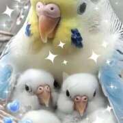 かりな奥様 こんにちは 人妻です