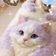 かりな奥様 こんにちは 人妻です