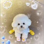 ヒメ日記 2025/12/28 13:46 投稿 かりな奥様 人妻です