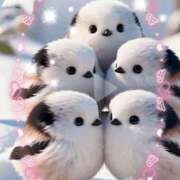 ヒメ日記 2026/03/01 15:01 投稿 かりな奥様 人妻です