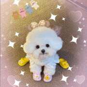 ヒメ日記 2026/03/05 13:08 投稿 かりな奥様 人妻です