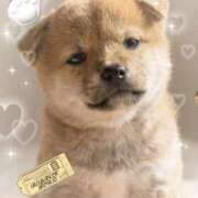 ヒメ日記 2026/03/15 13:37 投稿 かりな奥様 人妻です