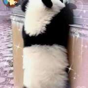 ヒメ日記 2026/03/29 13:04 投稿 かりな奥様 人妻です