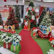 ヒメ日記 2024/12/19 11:46 投稿 まみ奥様 人妻です