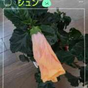 ヒメ日記 2025/05/16 22:51 投稿 まみ奥様 人妻です