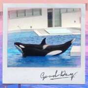 ヒメ日記 2025/08/03 08:34 投稿 まみ奥様 人妻です