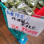 ヒメ日記 2025/11/01 11:44 投稿 まみ奥様 人妻です