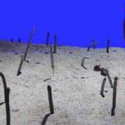 ヒメ日記 2025/11/11 11:48 投稿 まみ奥様 人妻です