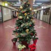 ヒメ日記 2025/12/02 11:43 投稿 まみ奥様 人妻です