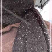 ヒメ日記 2026/02/08 12:12 投稿 まみ奥様 人妻です