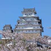 ヒメ日記 2026/04/17 22:40 投稿 まみ奥様 人妻です