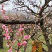 ヒメ日記 2024/02/19 19:03 投稿 ゆり奥様 人妻です