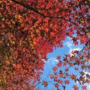 ヒメ日記 2024/12/12 09:13 投稿 ゆり奥様 人妻です