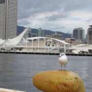 ヒメ日記 2025/02/17 22:34 投稿 ゆり奥様 人妻です