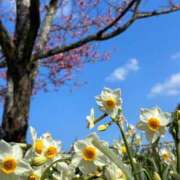 ヒメ日記 2025/02/26 00:26 投稿 ゆり奥様 人妻です