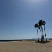 ヒメ日記 2025/04/21 16:39 投稿 ゆり奥様 人妻です