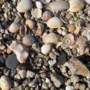 ヒメ日記 2025/05/08 17:01 投稿 ゆり奥様 人妻です