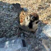 ヒメ日記 2025/06/04 17:25 投稿 ゆり奥様 人妻です