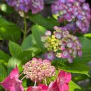 ヒメ日記 2025/06/20 08:49 投稿 ゆり奥様 人妻です