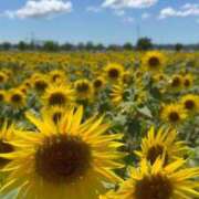 ヒメ日記 2025/07/26 11:14 投稿 ゆり奥様 人妻です